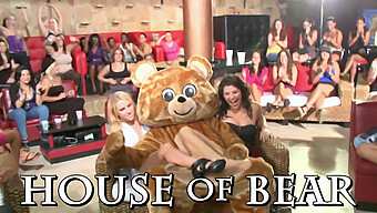 Wild Cfnm Party With Horny Bears And Their Eager Partners!