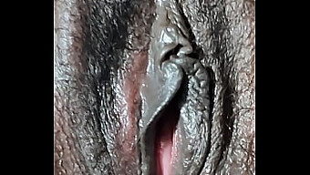 Intense Fucking With Closeup View Of Pussy