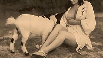 Natural Tits And Pussy With A Dog In A Classic Scene.